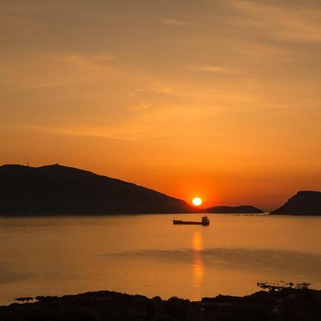 أولبيا B&B Biddanoa المظهر الخارجي الصورة
