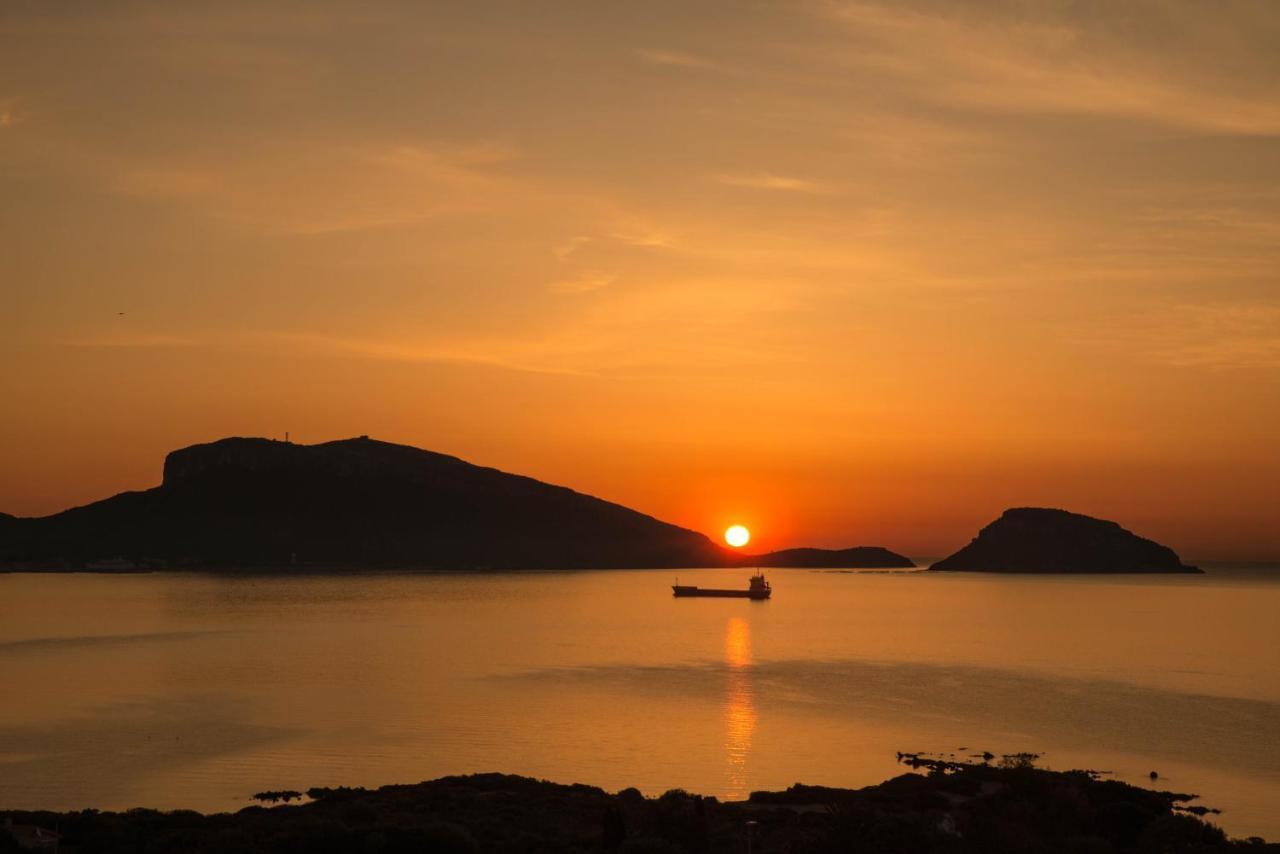 أولبيا B&B Biddanoa المظهر الخارجي الصورة