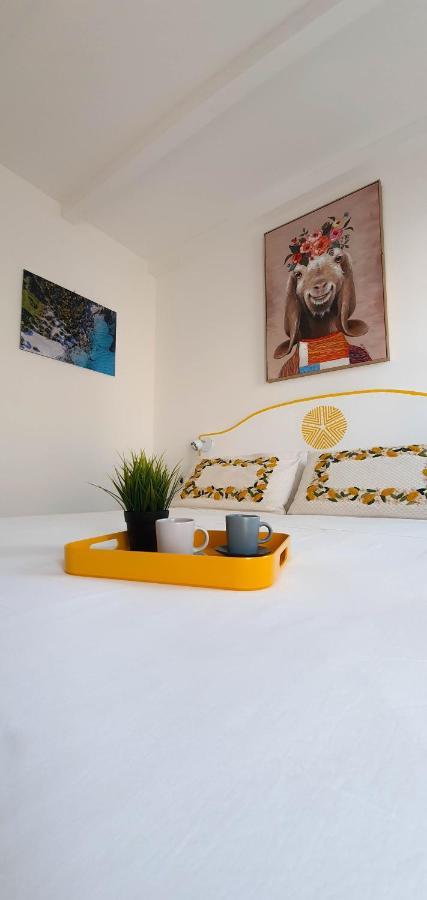 أولبيا B&B Biddanoa المظهر الخارجي الصورة